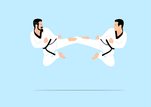 Free karate judo fight vector