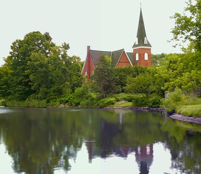 Free Town Trees photo and picture