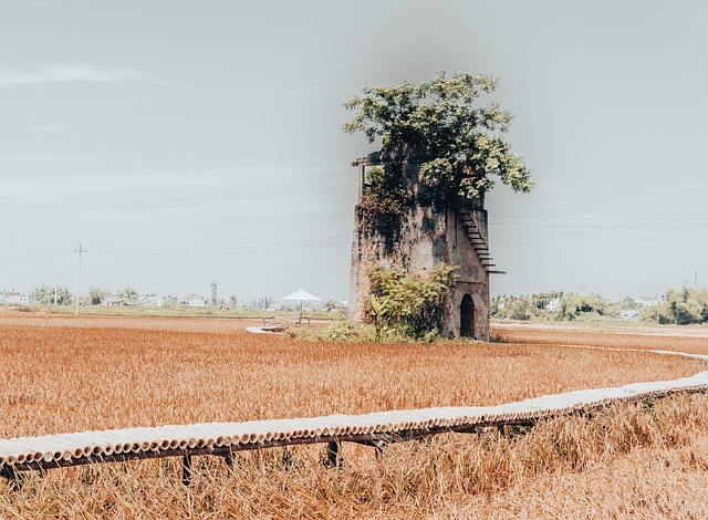 Feld, Gebäude, Baum, Reisen, Herbst