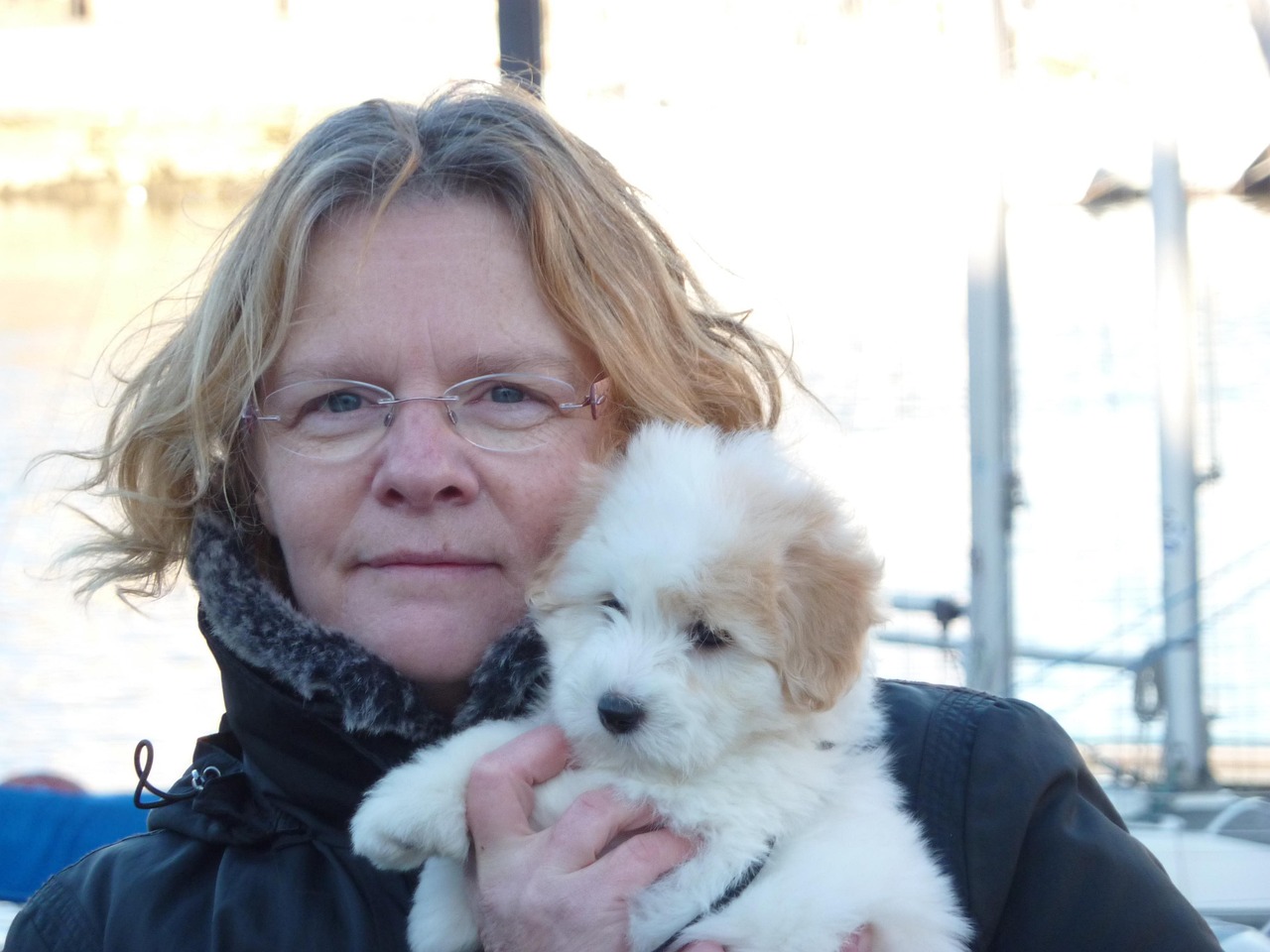 Coton De Tulear Puppy Person And Free photo on Pixabay