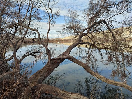Free Lake Landscape photo and picture