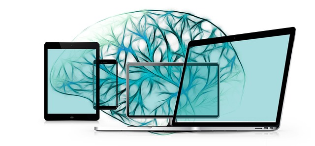 Transformation, Web, Hjerne, Netværk, By