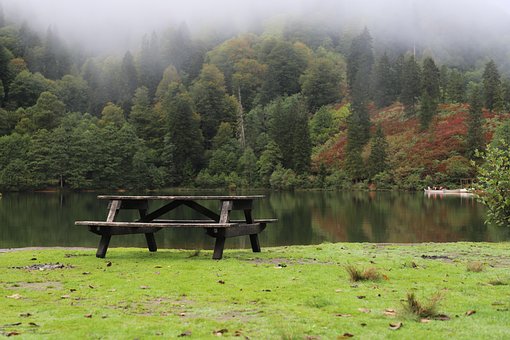 Free Bench Fog photo and picture
