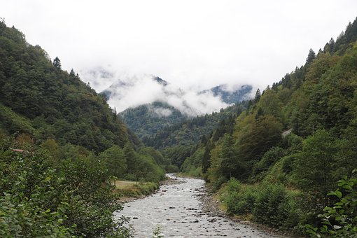 Free River Stream photo and picture