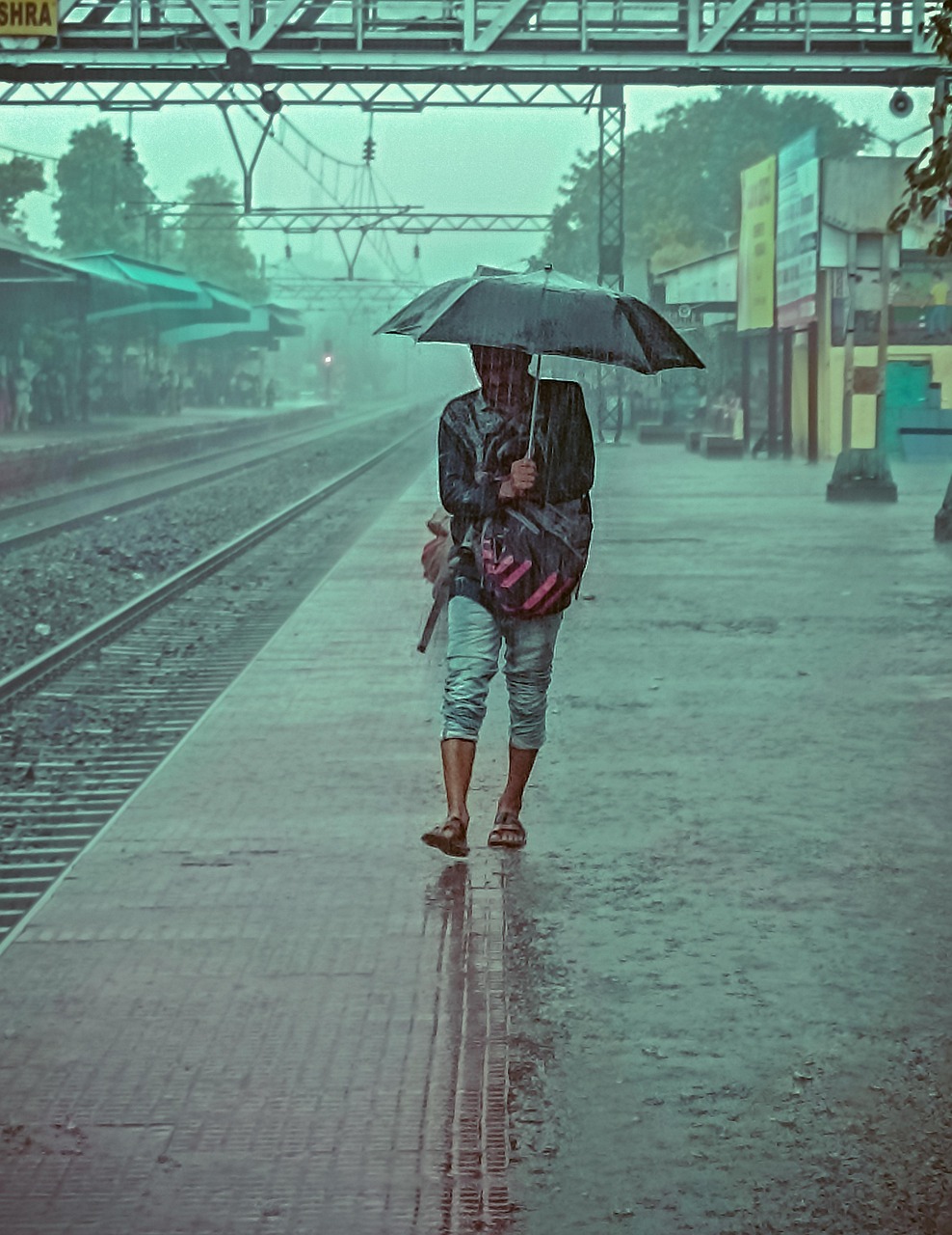 雨 下雨 自然 - Pixabay上的免费照片