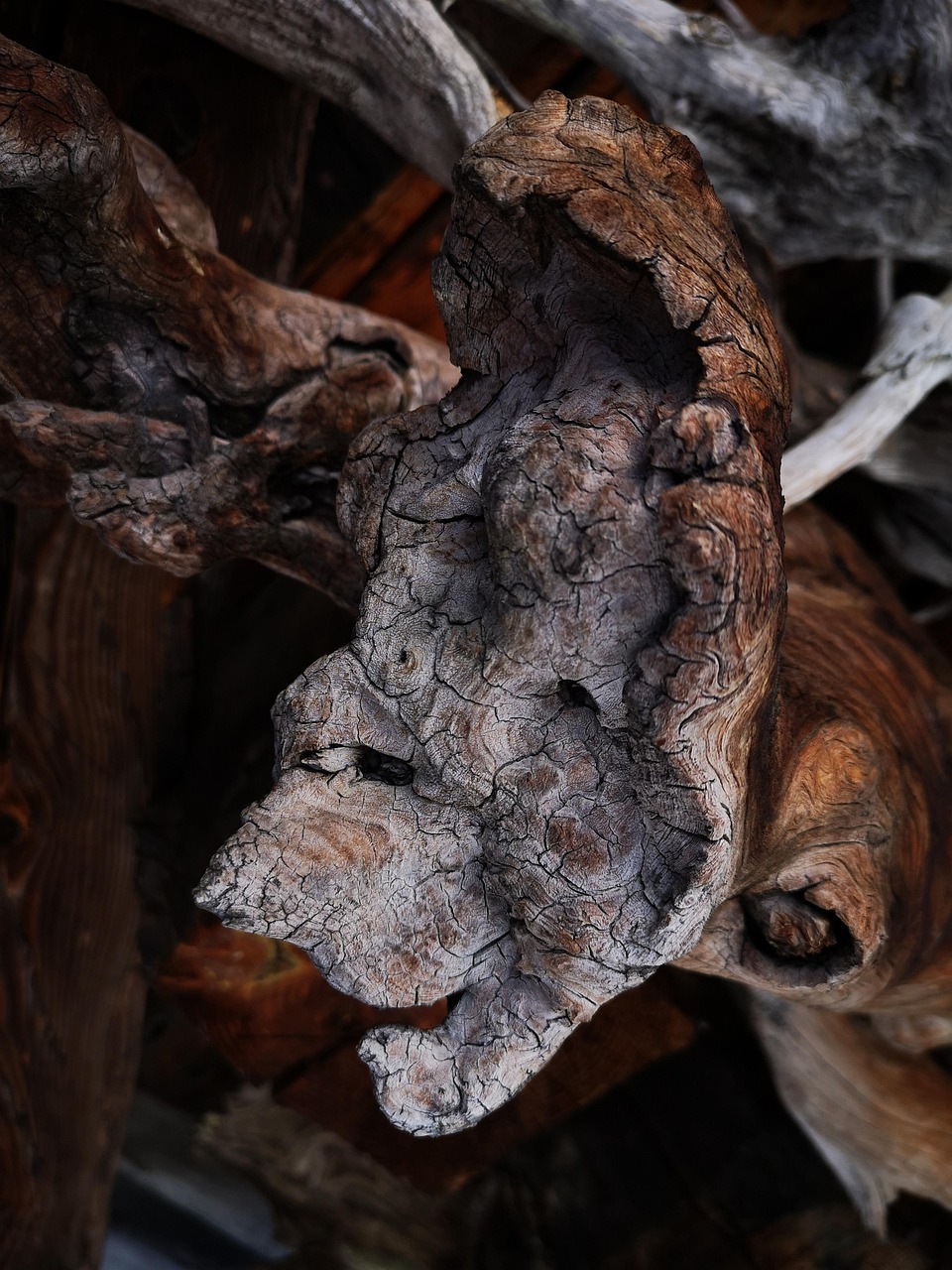 Mask Monster Wood - Free photo on Pixabay - Pixabay