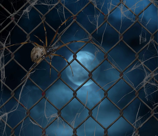Free fence spider spider web illustration