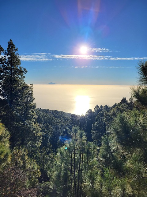 Free Hiking La Palma Landscape photo and picture