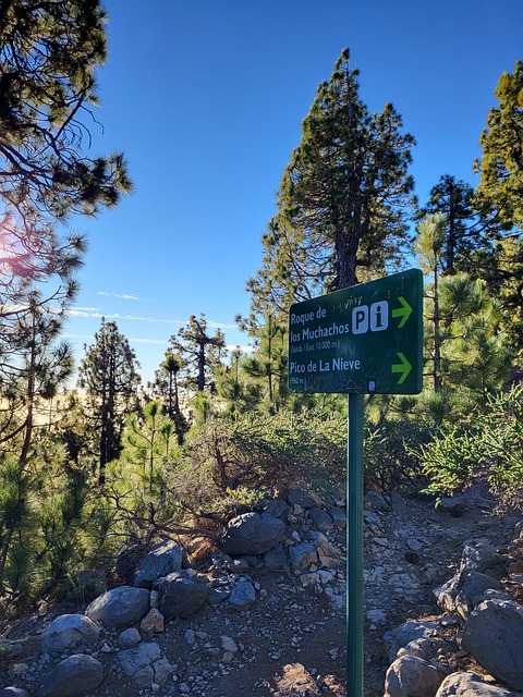 Free Hiking La Palma La Palma photo and picture