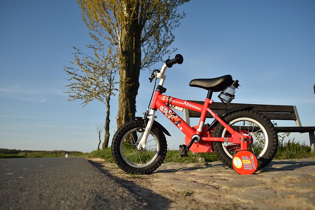 Bicicleta, Mesa De Trabajo
