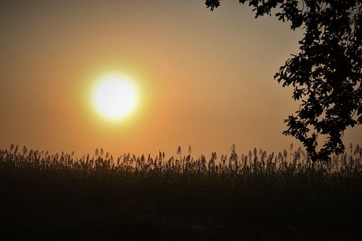 Free Sun Sky photo and picture