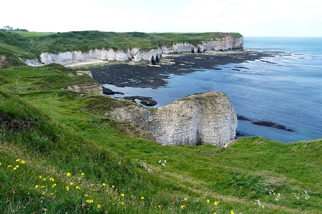 Free Cliff Coast photo and picture