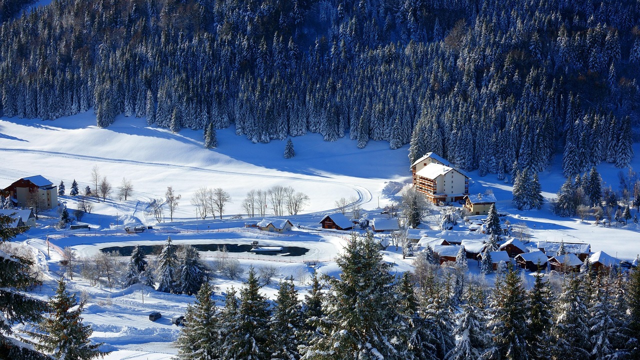 lake, house, snow, snowy, skis, winter, forest, landscape, alpe du grand greenhouse, nature, building, nordic