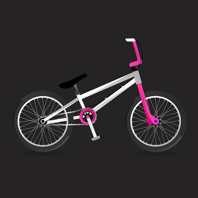 Free bike ride bicycle vector
