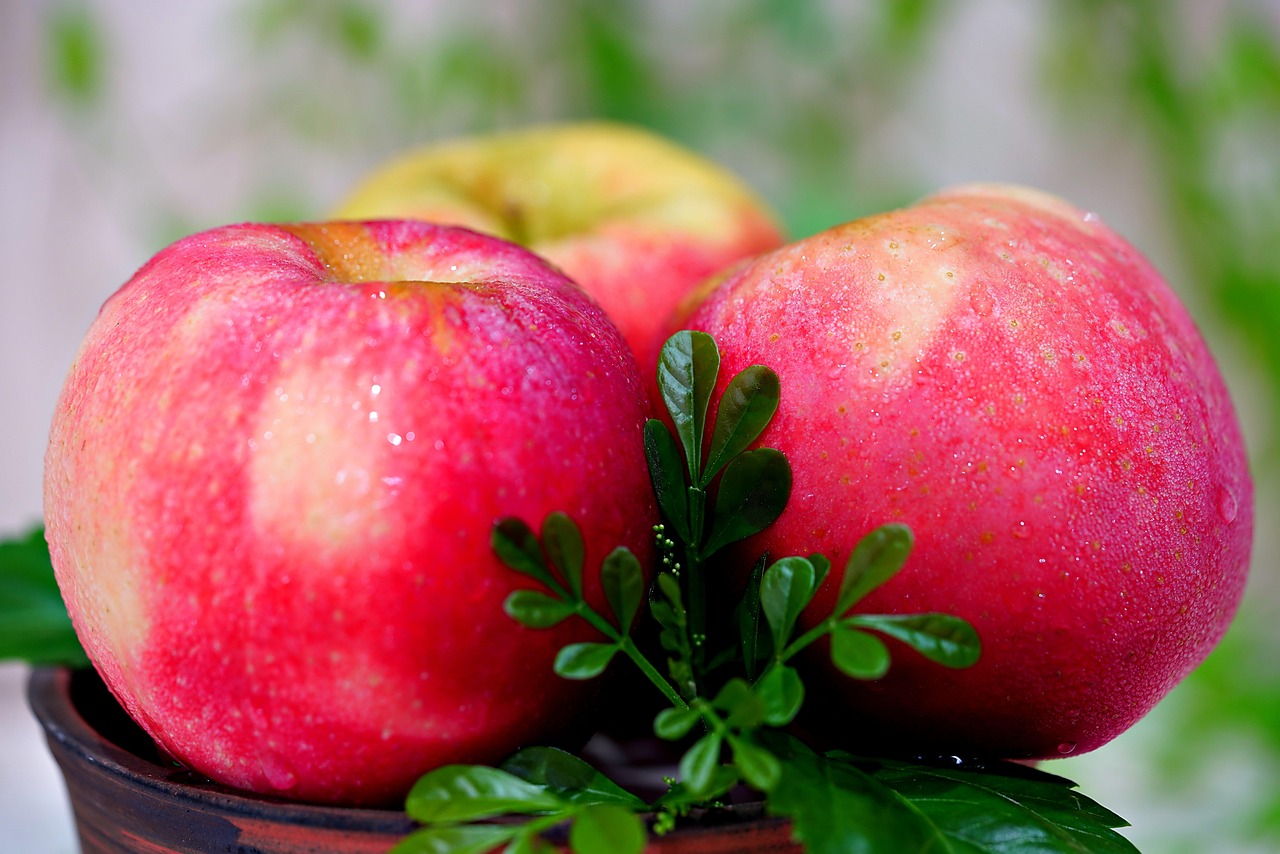 Apples Fruit Fresh Free photo on Pixabay Pixabay