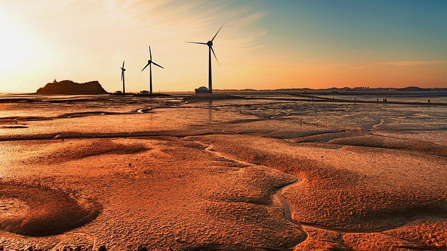 Free Pinwheels Valley photo and picture