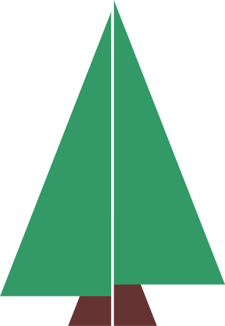 Free christmas tree spruce holidays vector