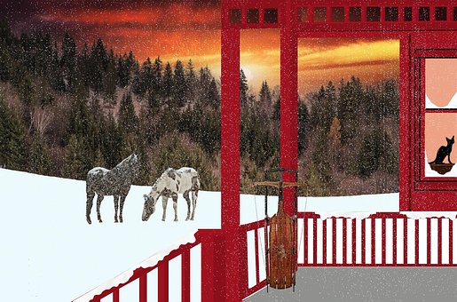 Free Nature Horses illustration and picture