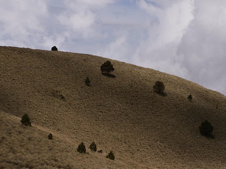 Bewölkt, Wolke, Feld, Grasfeld, Wiese