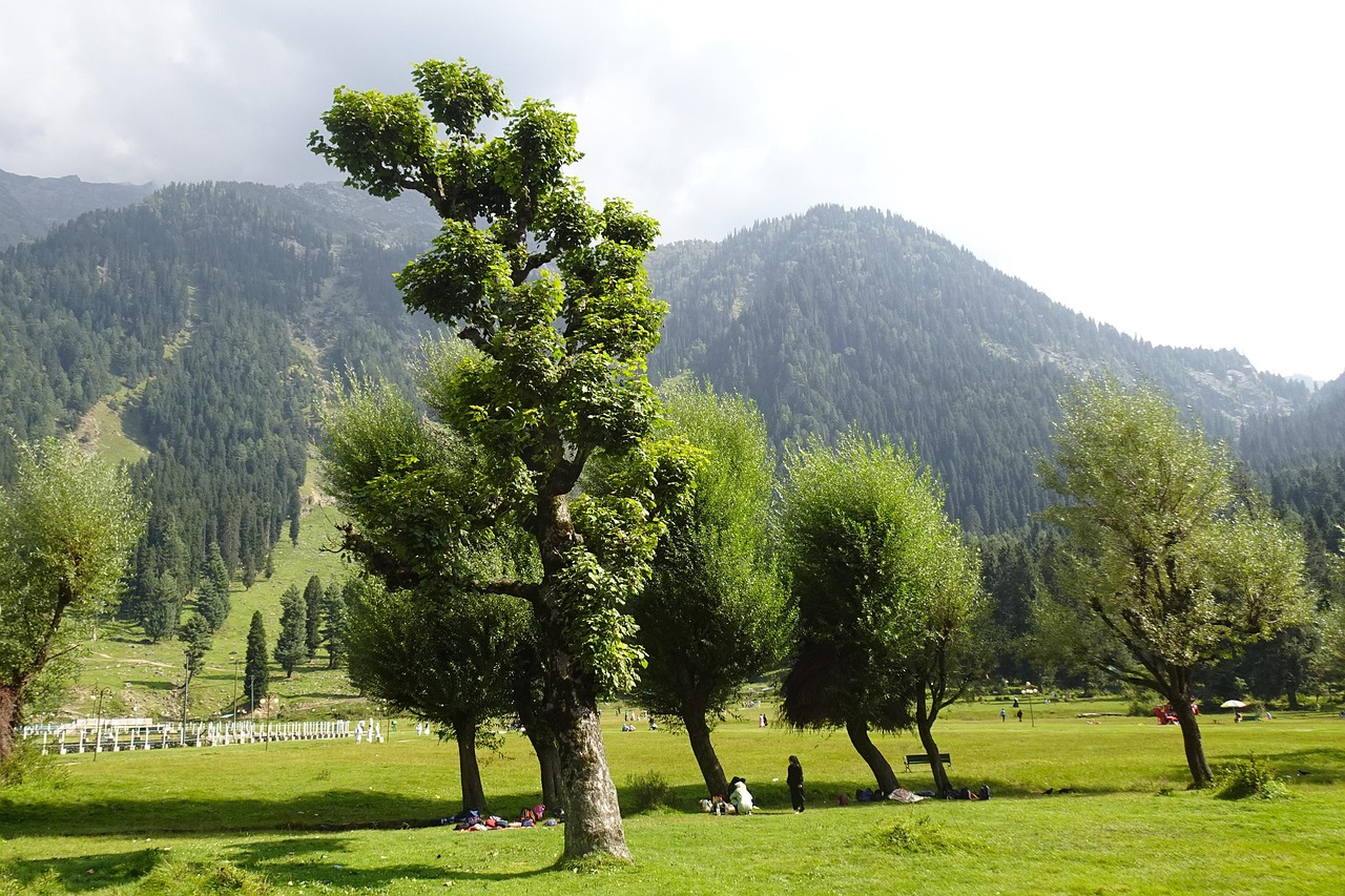 Valley Betaab Hagan - Free photo on Pixabay - Pixabay