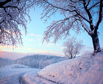 Free Photography Winter photo and picture