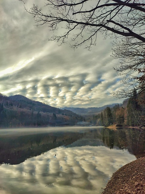 Free Lake Nature photo and picture