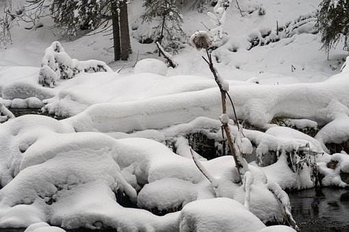 Neve, Perene, Coberto De Neve, Inverno