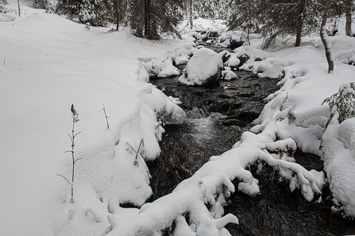 Neve, Perene, Coberto De Neve, Inverno
