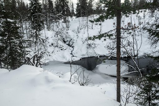 Neve, Perene, Coberto De Neve, Inverno