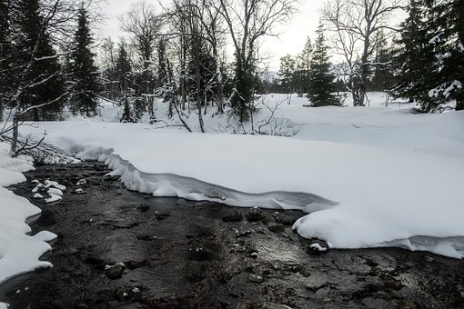 Neve, Perene, Coberto De Neve, Inverno