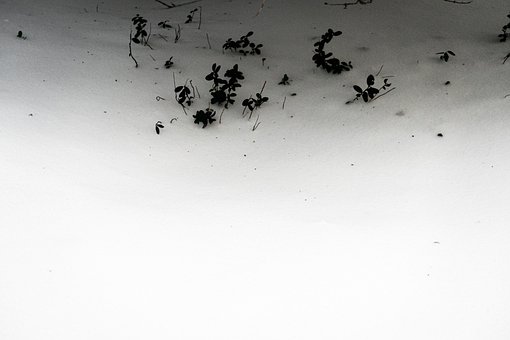 Neve Abstrata, Neve