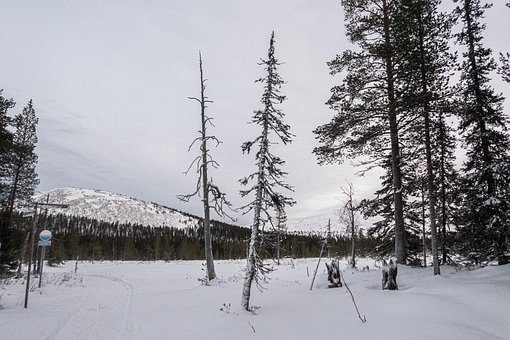 Trilha, Neve, Ylläs, Lapônia, Finlândia