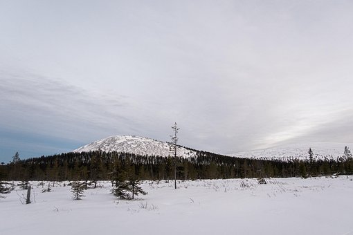 Ylläs, Hill, Colina Ártica, Montanha