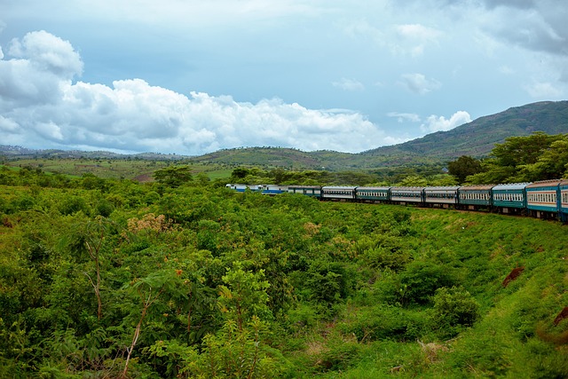 Free Train Tour photo and picture
