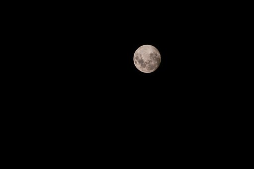 Free Moon Night photo and picture