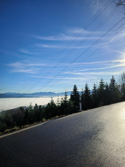 Free Fog Landscape photo and picture