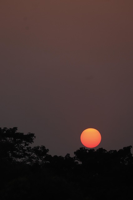 Free Sunset Nature photo and picture