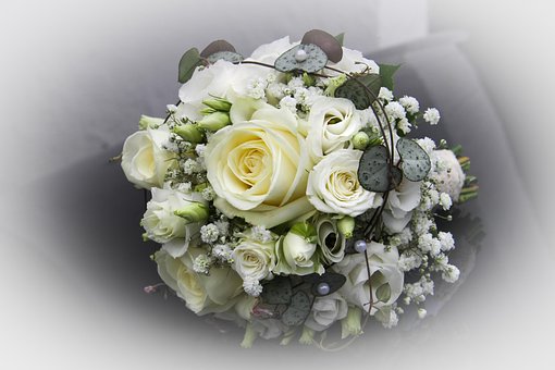 Blomster, Smukke Blomster, Blomst Tapet