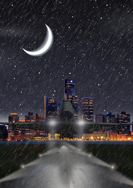 Free City Night photo and picture