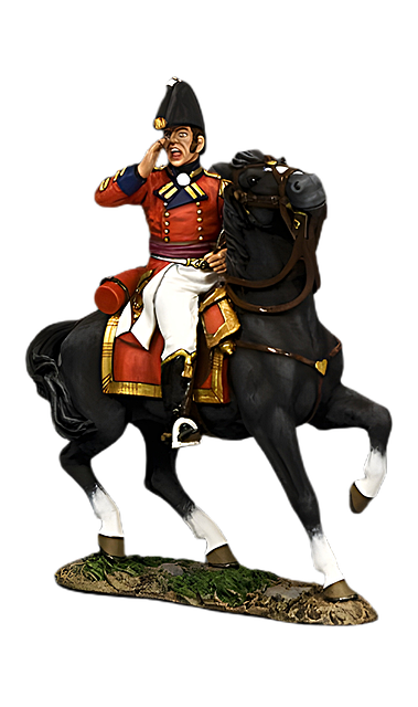British Figure Horse - Free photo on Pixabay - Pixabay