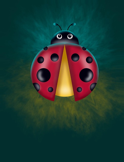 Free Ladybug Insect illustration and picture
