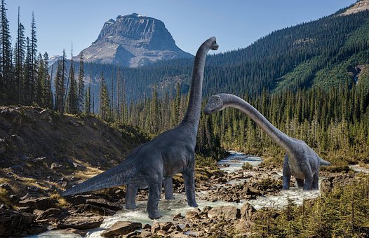 Free Dinosaur Monster photo and picture