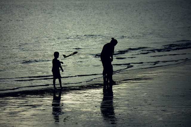 Familia, Playa, Atardecer, Niños