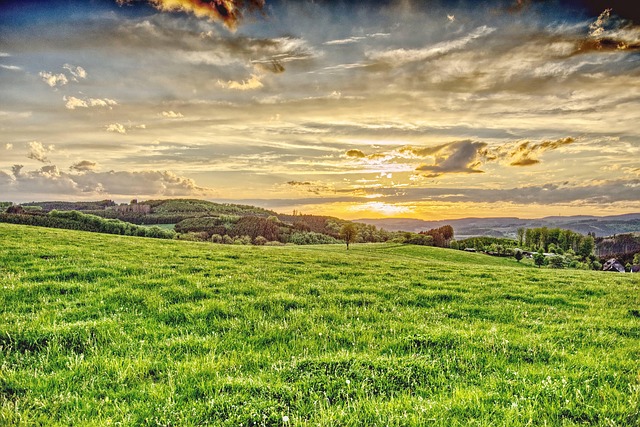 Free Sun Sunset photo and picture