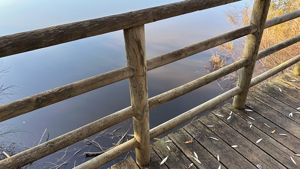 Free Bridge Wood photo and picture