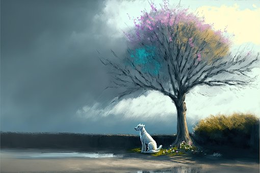 Hund, Natur, Haustier, Baum, Haustier