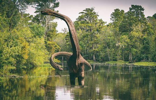 Free Dino Dinosaur photo and picture