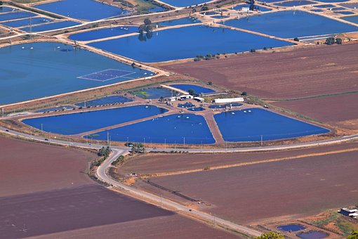 Feld, Israel, See, Fische, Landschaft