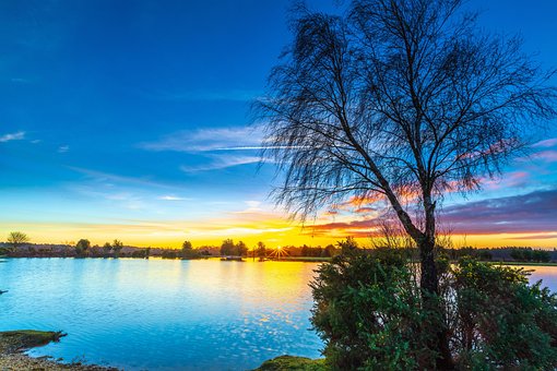 Free Landscape New Forest photo and picture