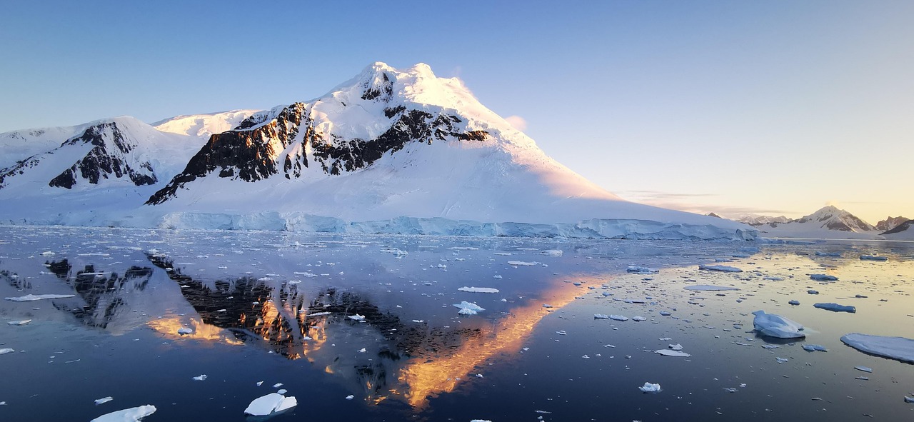 300,000+ Free Antarctic Animals & Antarctic Images - Pixabay
